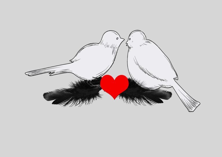 birds, heart, feathers-2417167.jpg