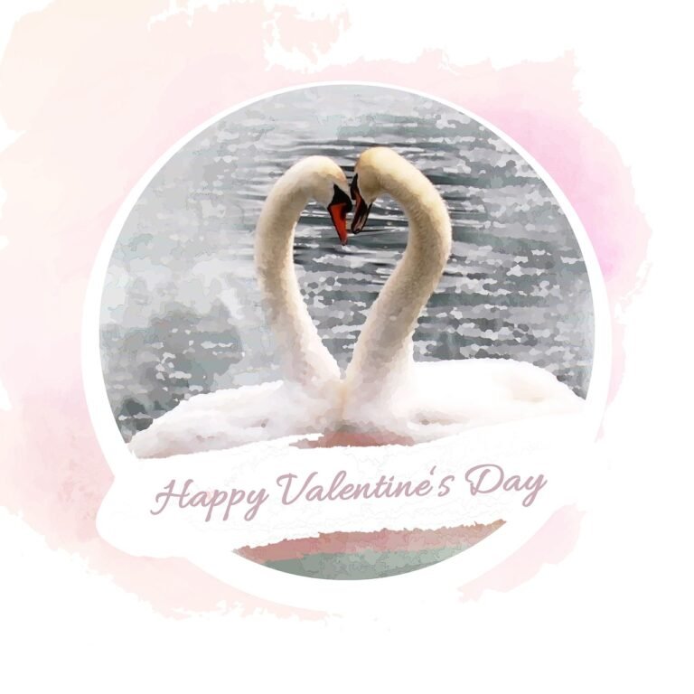 valentine's day, happy valentine's day, love-4737669.jpg